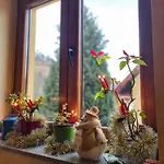 Pansion Potok 3* Vrata